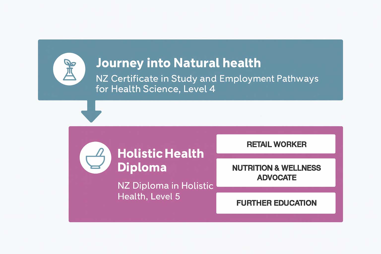 career pathways infographic